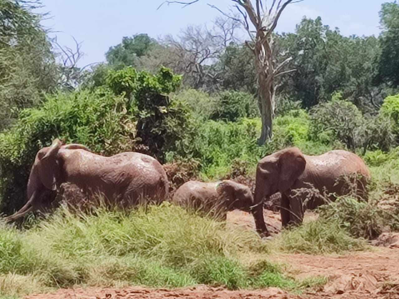 6 Days Discover Kenya